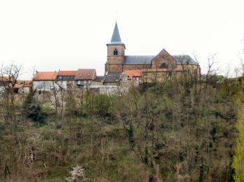 decouvrir-hombourg-haut