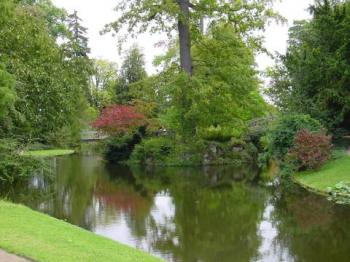 arboretum-parc-de-la-vallee-aux-loups