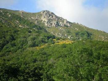 promenades-sur-valgorge