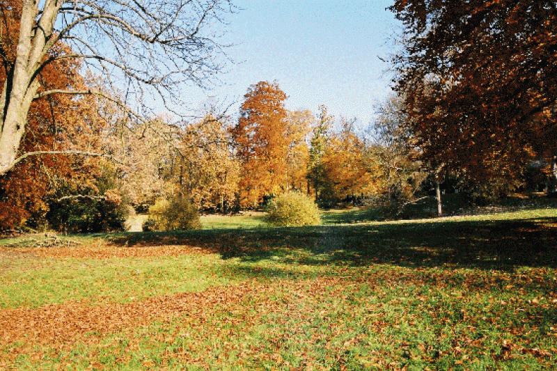 parc-de-la-fontaine-aux-pigeons