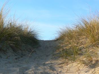 les-dunes