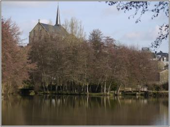 decouvrez-le-poire-sur-vie