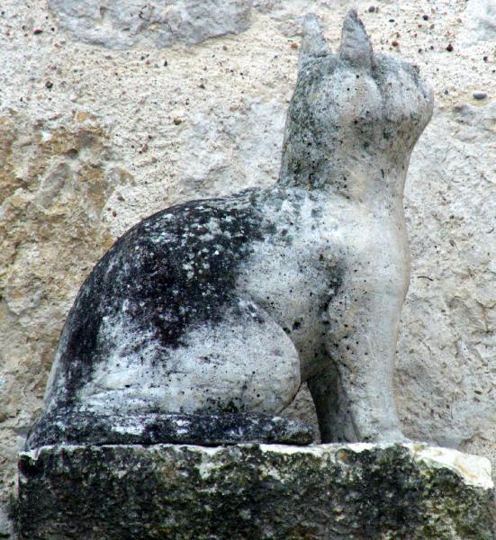 decouvrir-angeline-et-la-legende-des-chats