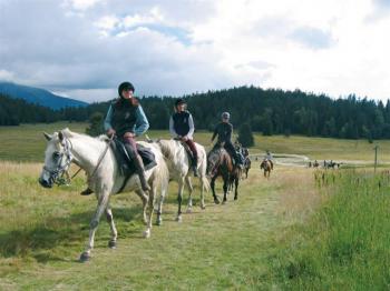 equitation-a-laragne-monteglin