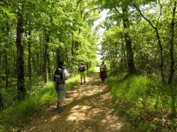 randonnees-autour-du-chemin-de-saint-jacques-de-compostelle