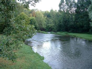 les-etangs-de-la-brenne