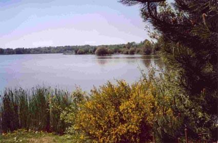 etang-des-noes