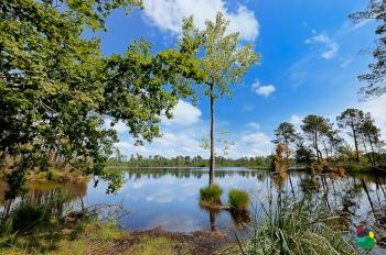 les-lagunes-du-gat-mort