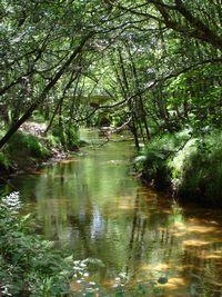 visite-de-la-riviere-la-leyre-depuis-le-graoux