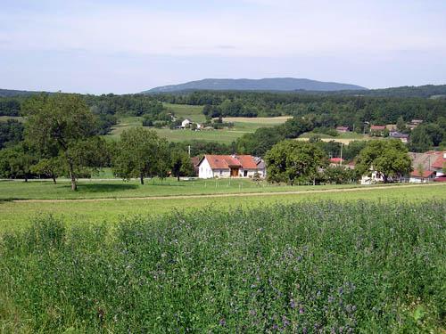 chemin-de-la-colle