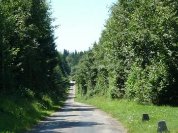 route-des-sapins