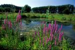 visite-de-la-reserve-naturelle