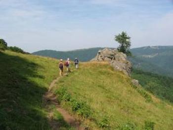 decouvrir-les-richesses-de-la-vallee