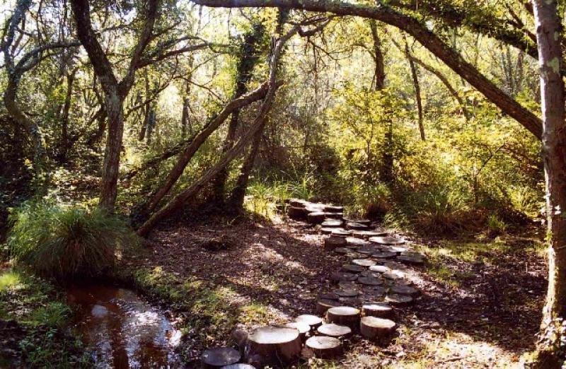 de-cours-d-eau-en-etangs