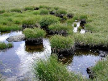 les-sources-de-la-durance