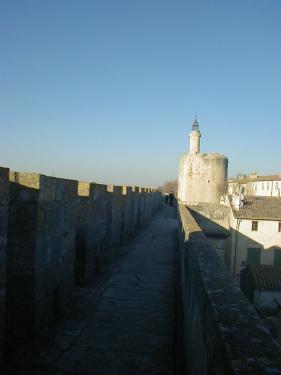 la-petite-camargue