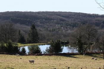 visite-du-village-fleuri-de-montrol-senard