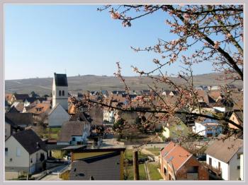 decouvrez-la-ville-de-mittelwihr