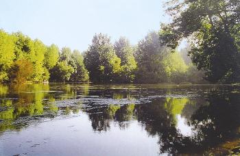 a-la-decouverte-de-la-randonnee-de-pleine-nature