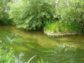 ruisseau-de-l-abreuvoir