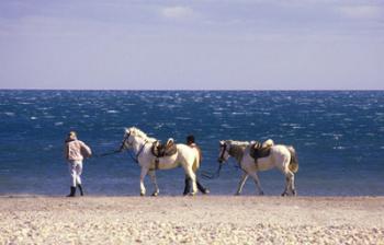 les-beautes-de-la-camargue