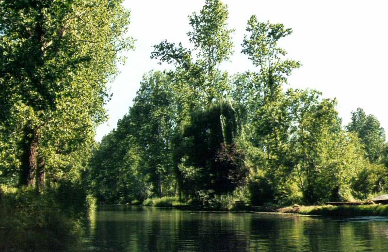 la-coulee-verte-prelude-au-marais-poitevin