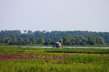 decouvrir-la-campagne