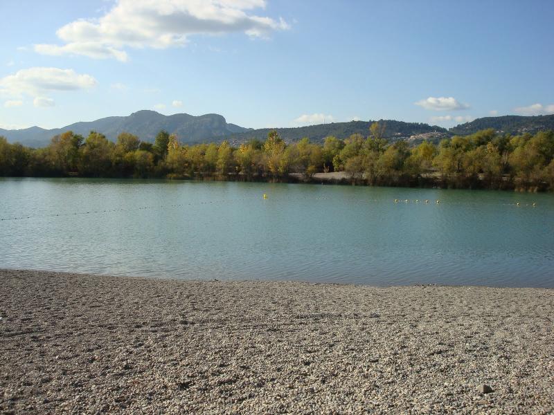 la-visite-guidee-botanique-au-lac-des-buissonnades