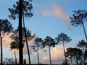 decouverte-les-trois-couleurs-de-parentis-en-born