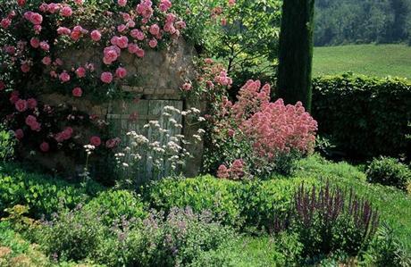 circuit-pour-belles-plantes