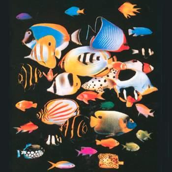 aquarium-tropical-de-pierrefitte-nestalas