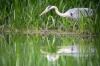 le-parc-naturel-regional-de-lorraine