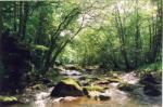 decouvrir-des-gorges-sauvages