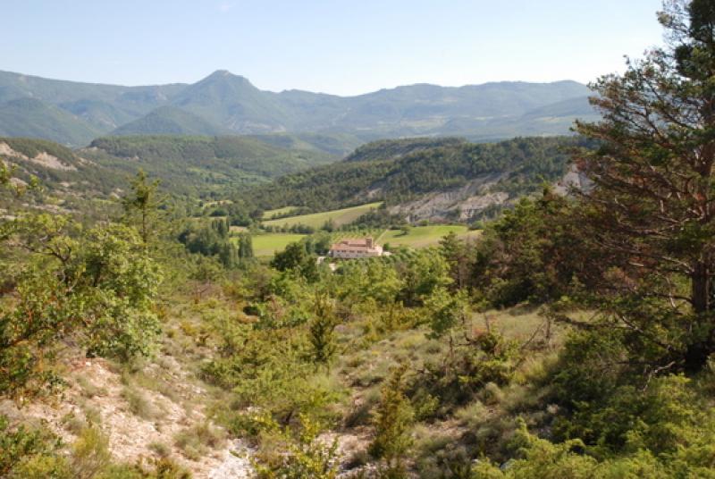 decouvrir-les-paysages-du-rosanais