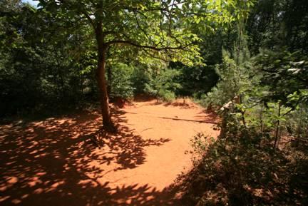 decouvrir-la-flore-de-roussillon