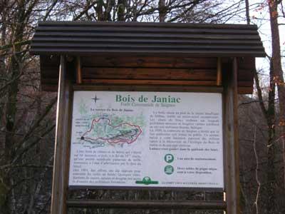 le-chemin-botanique-du-bois-de-janiac