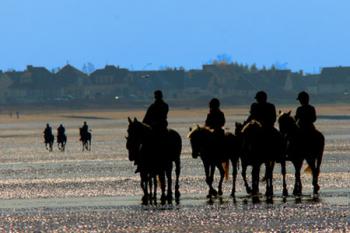 centre-equestre centre-equestre