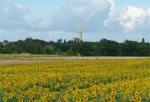 saint-hilaire-la-palud-au-fil-de-l-eau