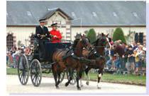 le-haras-de-saint-lo