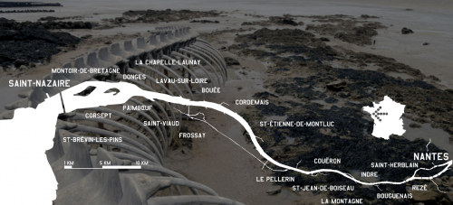 parcours-estuaire parcours-estuaire