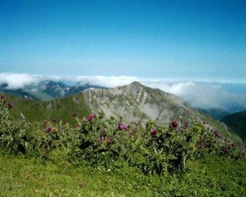 nature-pyreneenne-a-saint-pe-de-bigorre