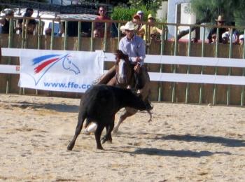 a-la-decouverte-du-festival-du-cheval