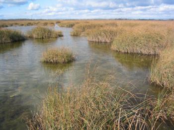 respirer-en-camargue