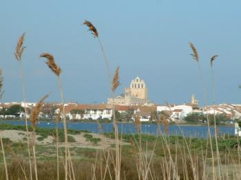 profiter-de-la-mer-aux-saintes-maries-de-la-mer