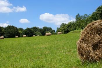 plusieurs-visites-en-bearn-des-gaves