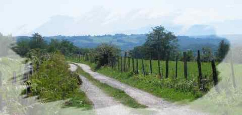 decouvrir-les-chemins-de-saint-jacques-de-compostelle