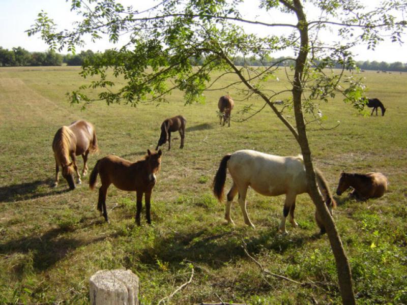 decouvrez-tous-les-charmes-de-la-nature