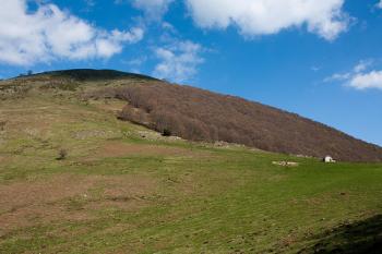 vtt-dans-le-biros