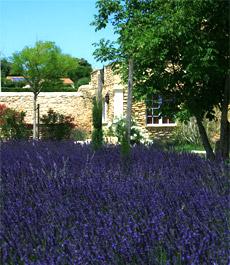 promenade-aux-environs