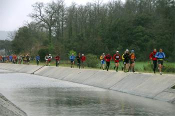 decouvrir-le-signes-trail